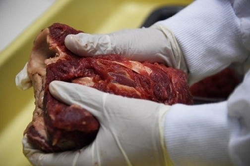 Export bans hit Brazil after rotten meat scandal